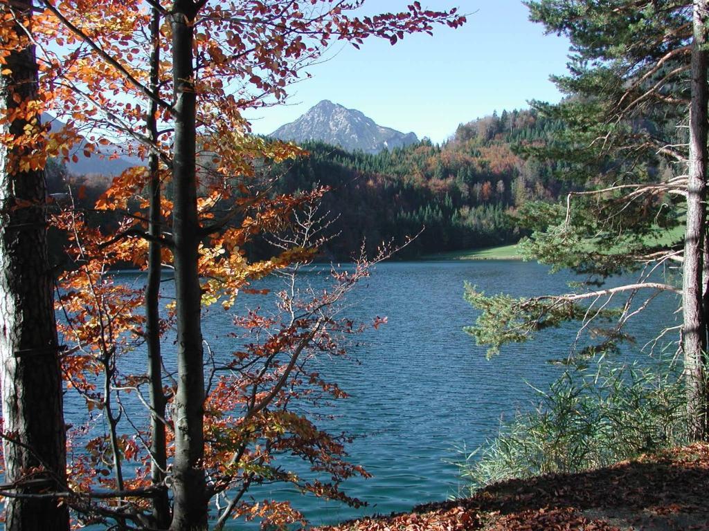 Hotel Gaestehaus Am Graben 3*
