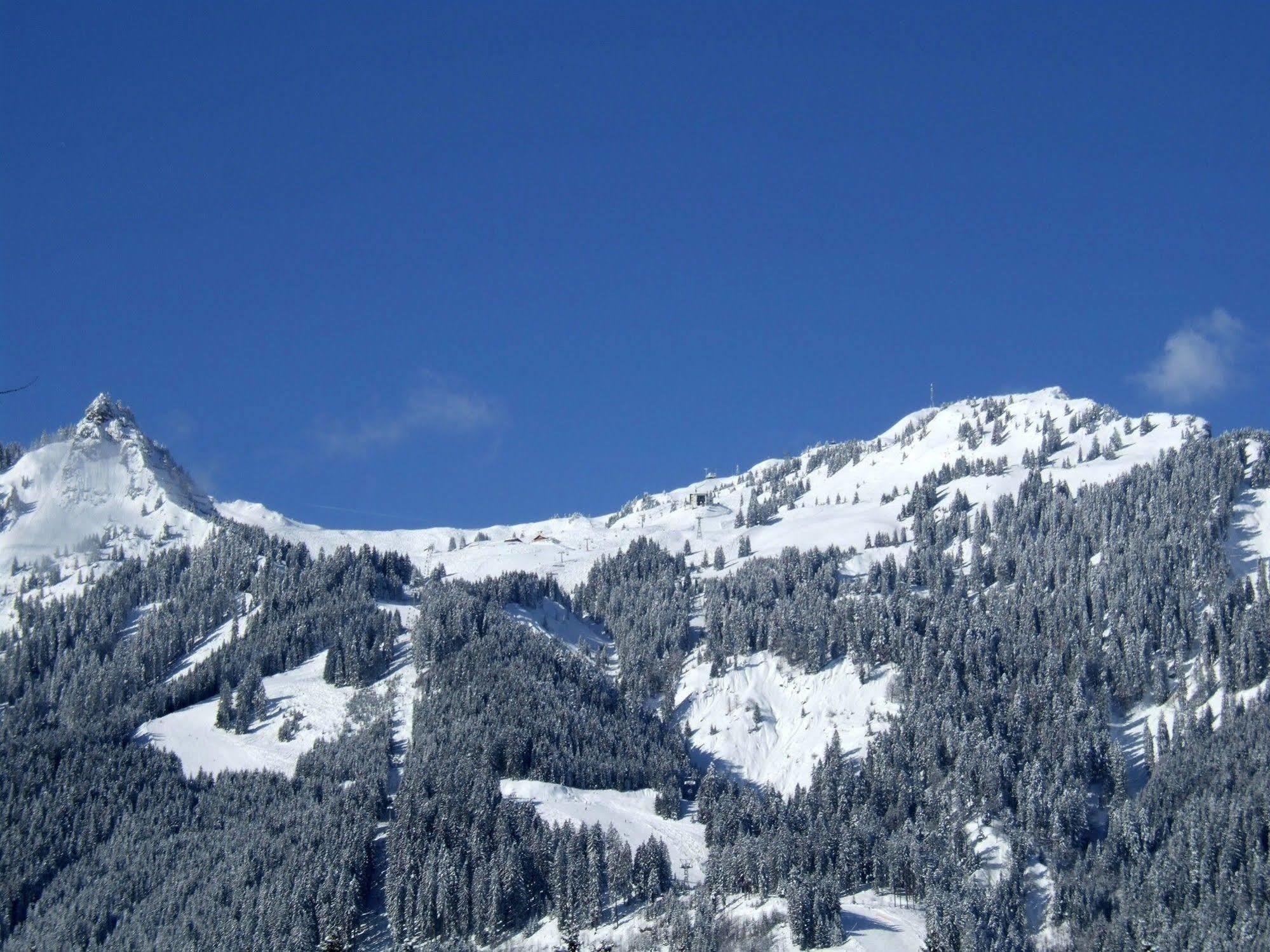 Gaestehaus Am Graben Reuthe